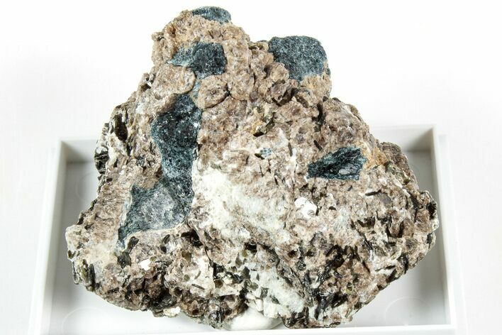 Deep Blue Sapphirine with Lustrous Phlogopite - Madagascar #317478